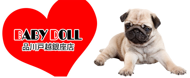 ペットショップbabydoll 品川戸越銀座店 戸越銀座商店街のペットショップベビードール トリミングサロンの予約 検索ならトリムトリム